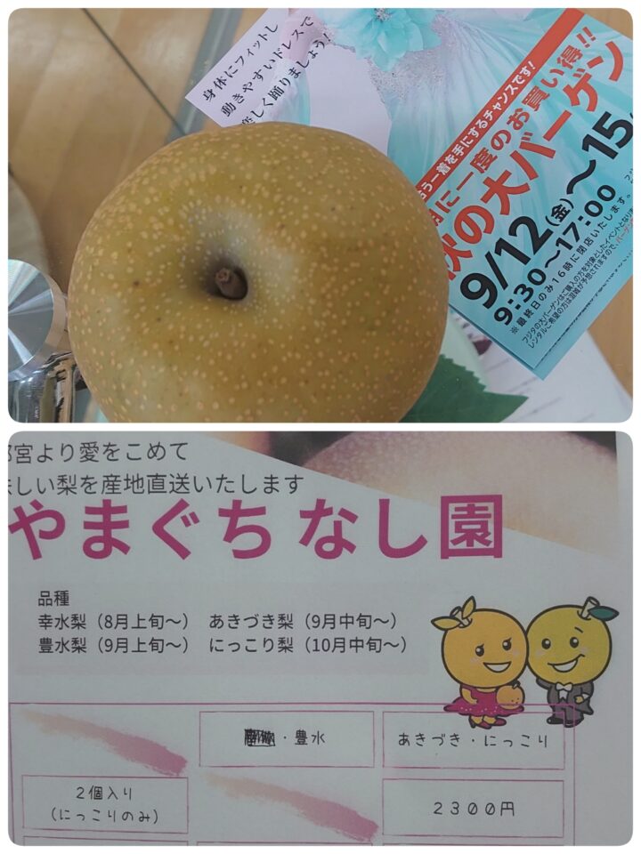 今年もおいしい☆☆の画像